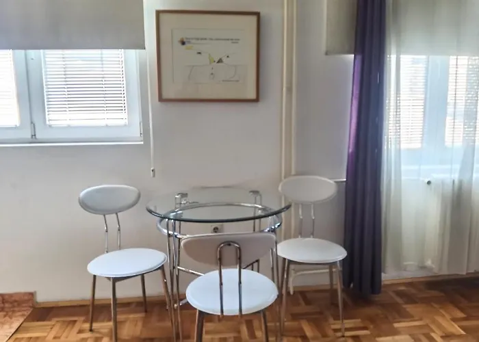 With Free Parking 公寓 贝尔格莱德